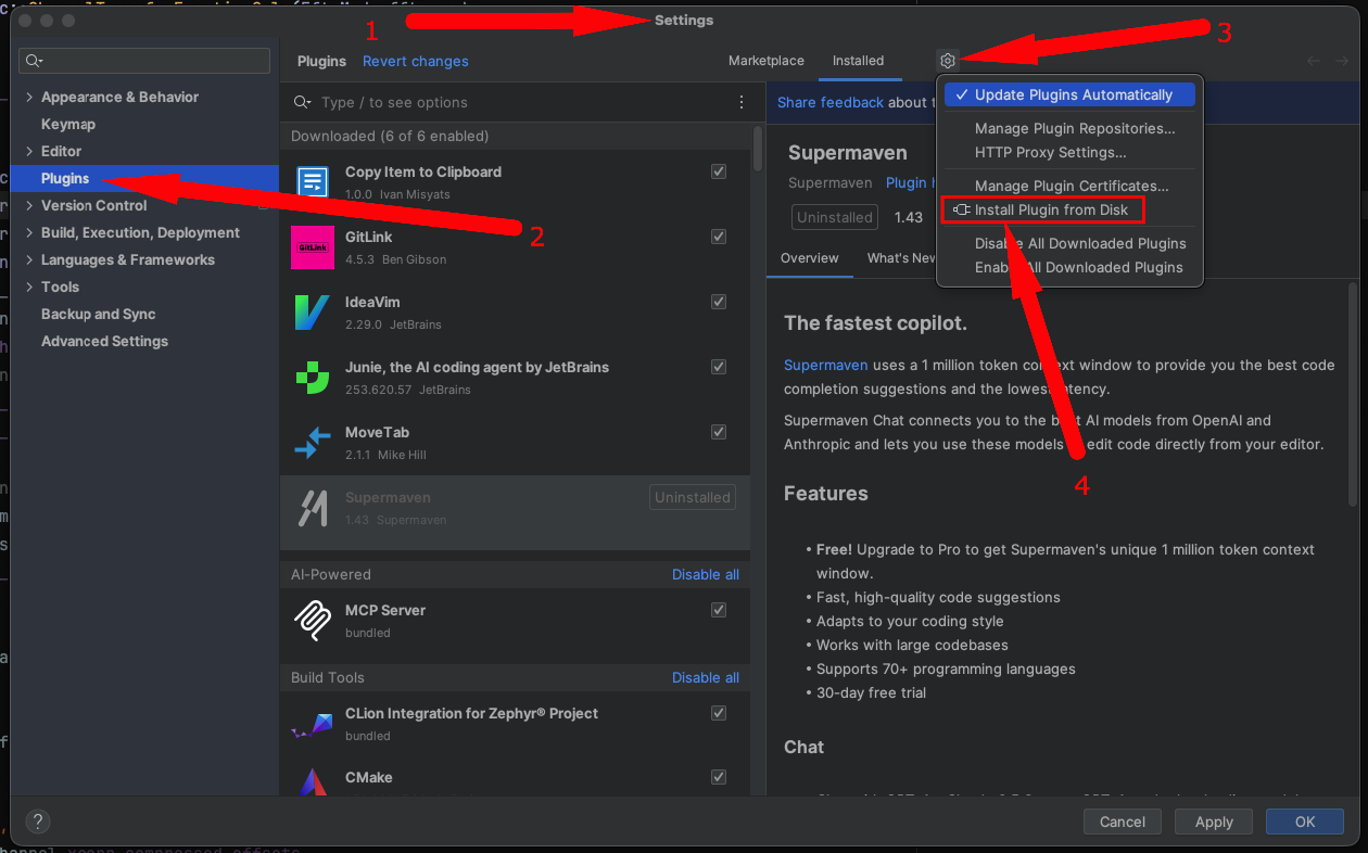 JetBrains Settings showing Plugins page with gear icon menu and Install Plugin from Disk option